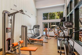 24 Hour multi level cardio and weightlifting center